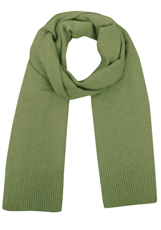 COBY SCARF - APPLE